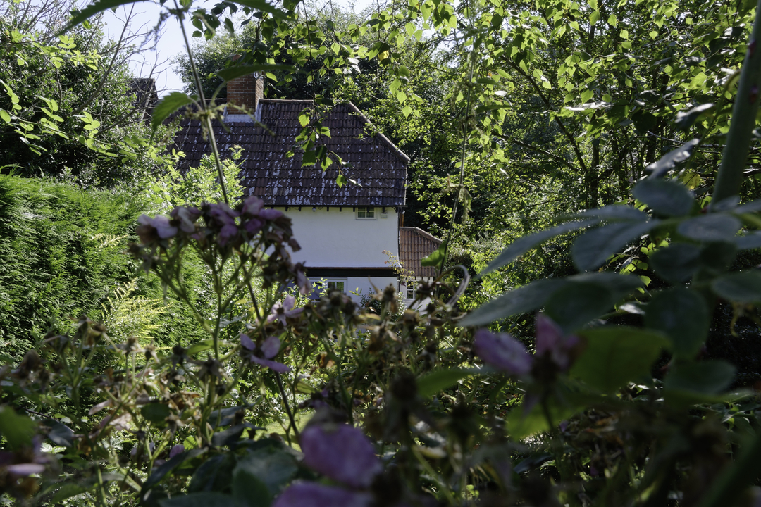 20160723 101448  Burley, England, United Kingdom